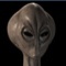Avatar użytkownika