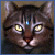 Avatar użytkownika