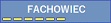 Fachowiec